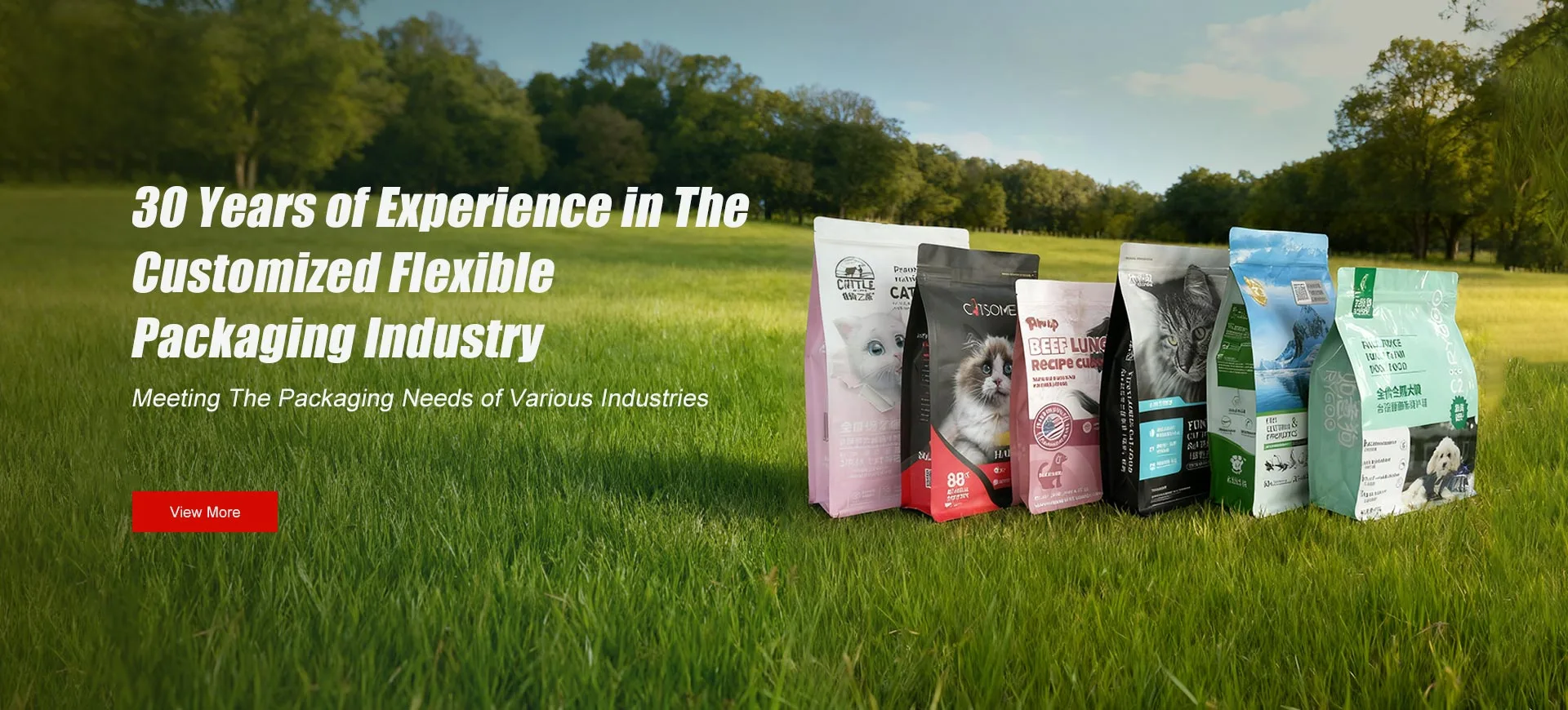 30 years of experience in the customized flexible packaging industry